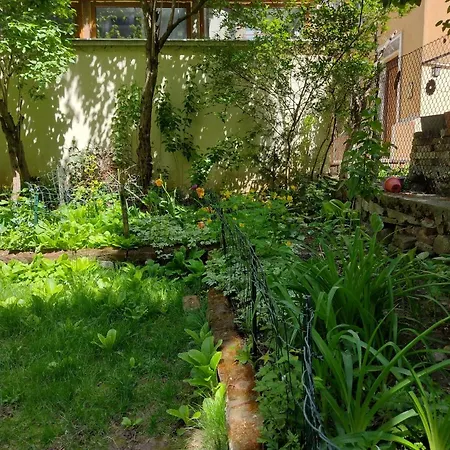 Apartman Charming With Garden Near Parking And Ndk Szófia