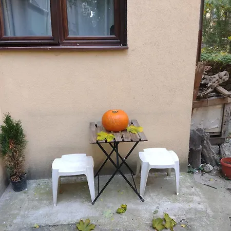 Charming With Garden Near Parking And Ndk Апартамент София