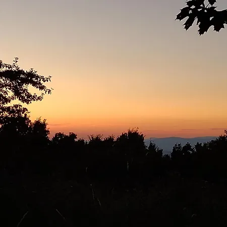 Charming With Garden Near Parking And Ndk