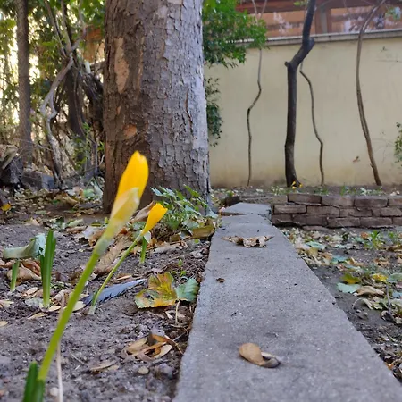 Apartament Charming With Garden Near Parking And Ndk Sofia