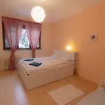 Charming With Garden Near Parking And Ndk