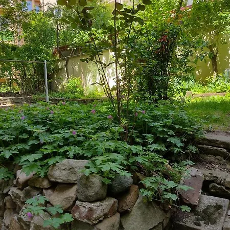 Charming With Garden Near Parking And Ndk *